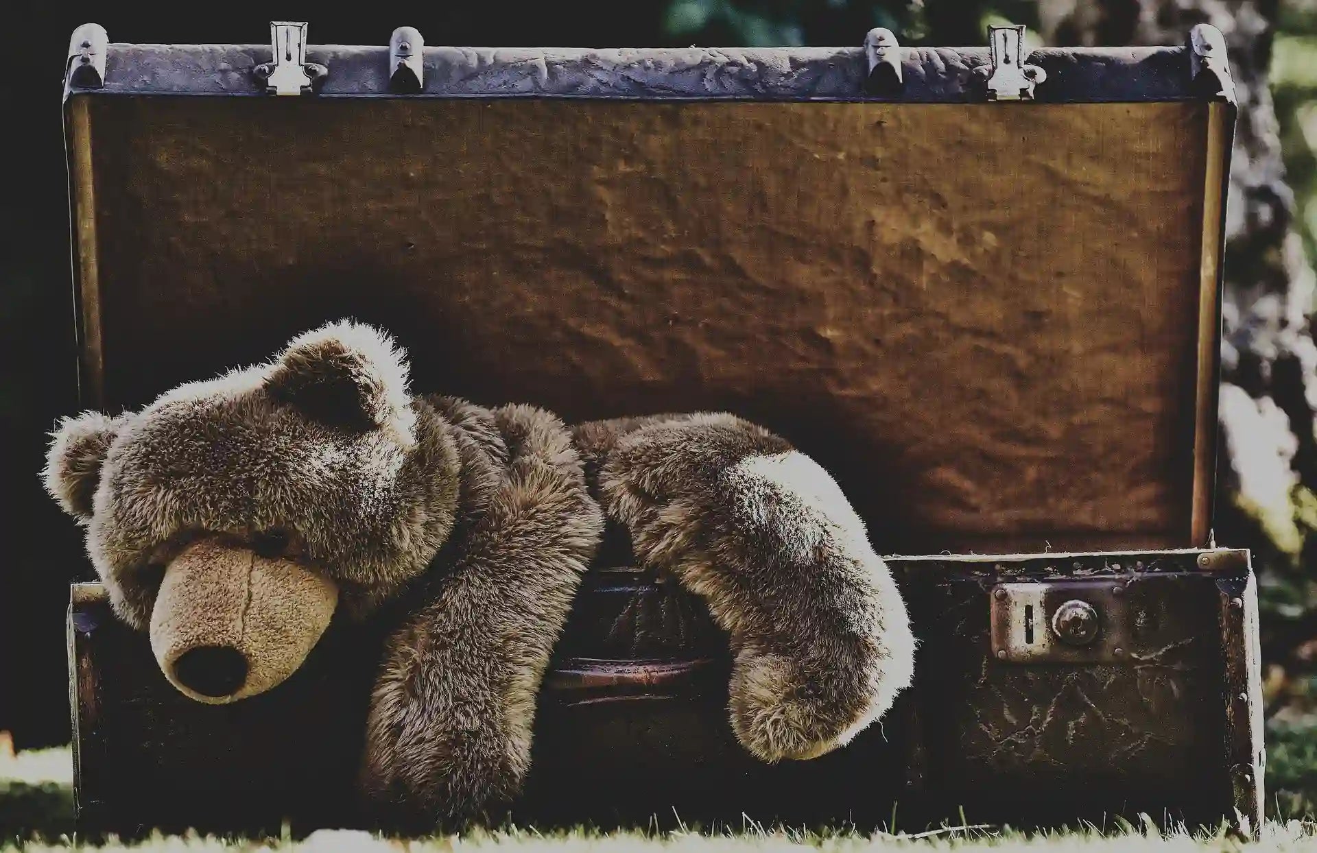 Suitcase, Antique, Teddy image