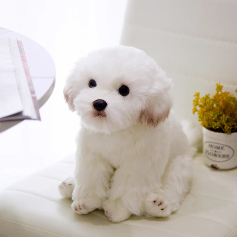 Bichon Frise Teddy Dog Plush - Cute Pet Simulation | Stuffed Animals & Plushies | Adorbs Plushies