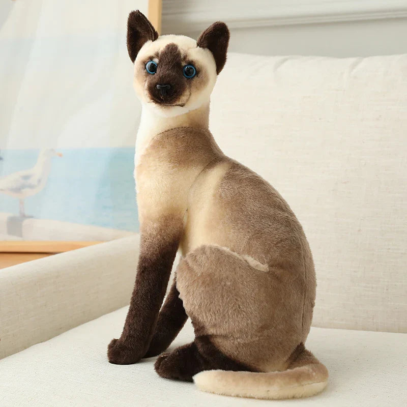 American Shorthair Cat Plush - Lifelike Siamese Doll