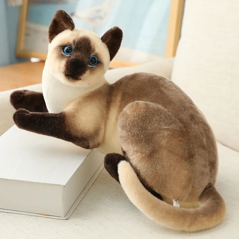 American Shorthair Cat Plush - Lifelike Siamese Doll | Stuffed Animals & Plushies | Adorbs Plushies