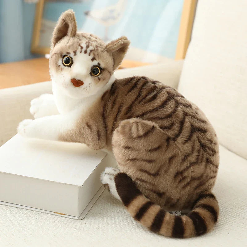 American Shorthair Cat Plush - Lifelike Siamese Doll