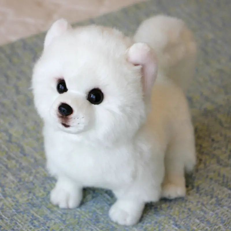 Lifelike Bichon Frise Plush Dog - Pomeranian Toy for Pet Lovers