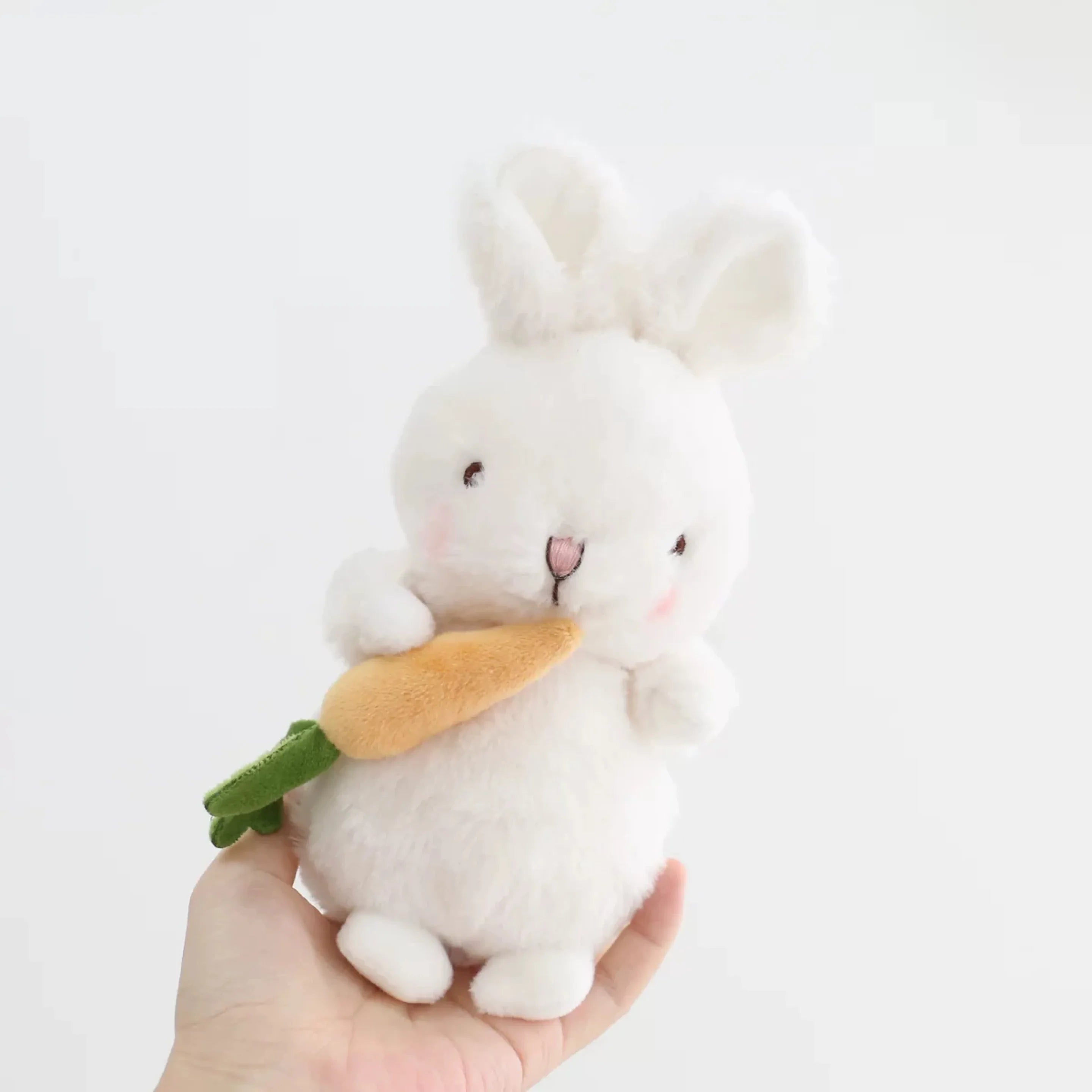 Fluffy Bunny Plush holding Food - Star Carrot Bunny Gift