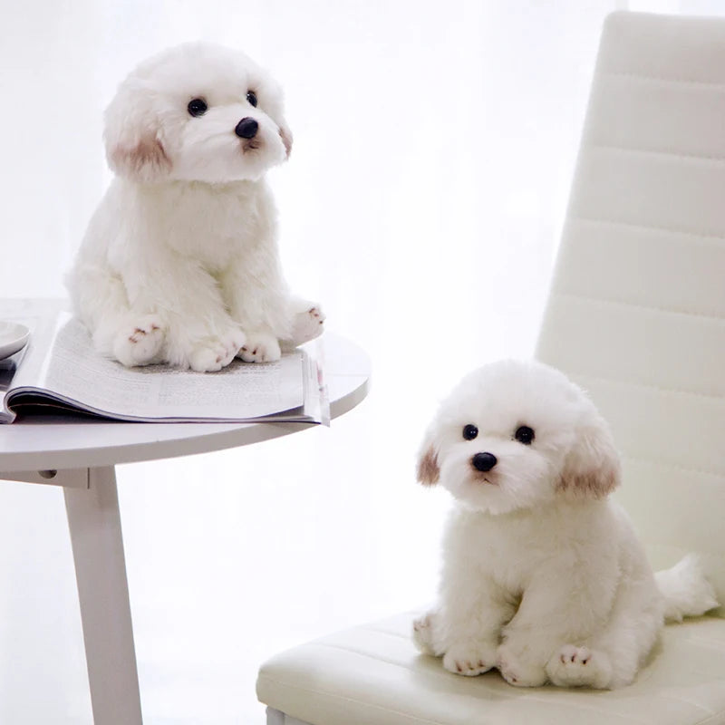 Bichon Frise Teddy Dog Plush - Cute Pet Simulation | Stuffed Animals & Plushies | Adorbs Plushies