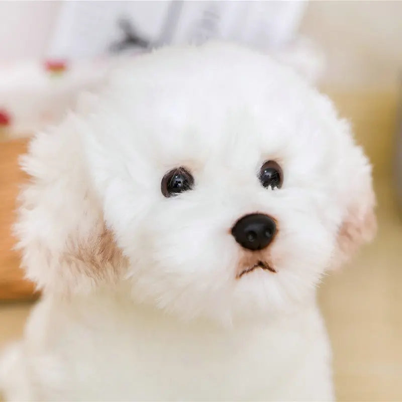 Bichon Frise Teddy Dog Plush - Cute Pet Simulation | Stuffed Animals & Plushies | Adorbs Plushies