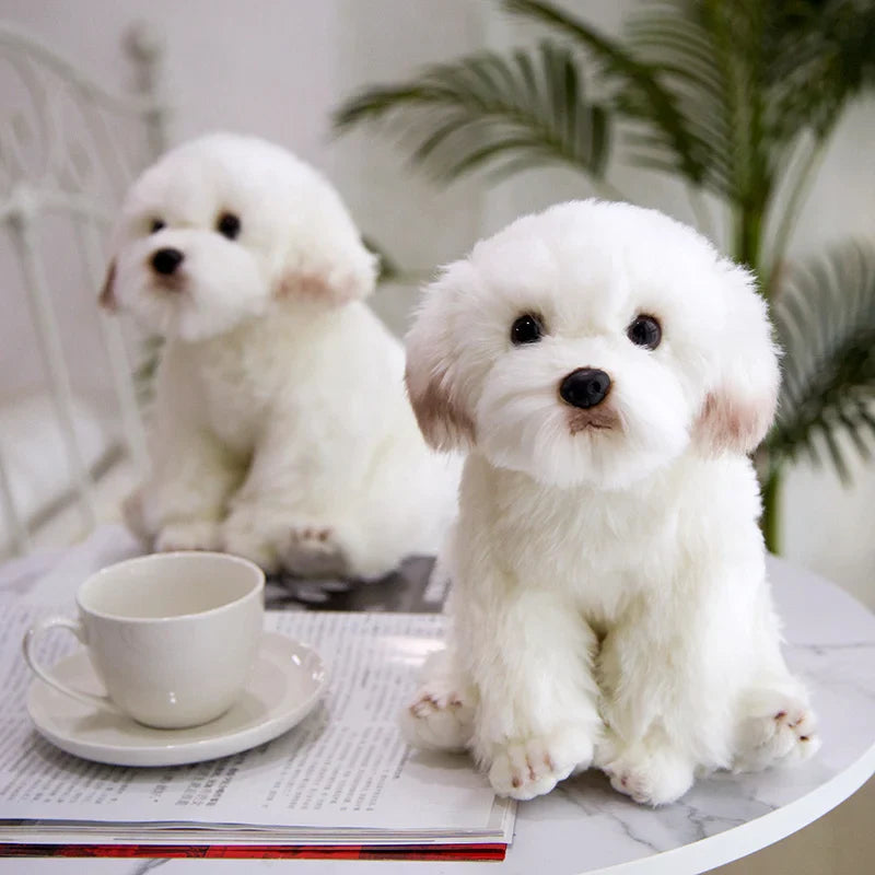 Bichon Frise Teddy Dog Plush - Cute Pet Simulation | Stuffed Animals & Plushies | Adorbs Plushies