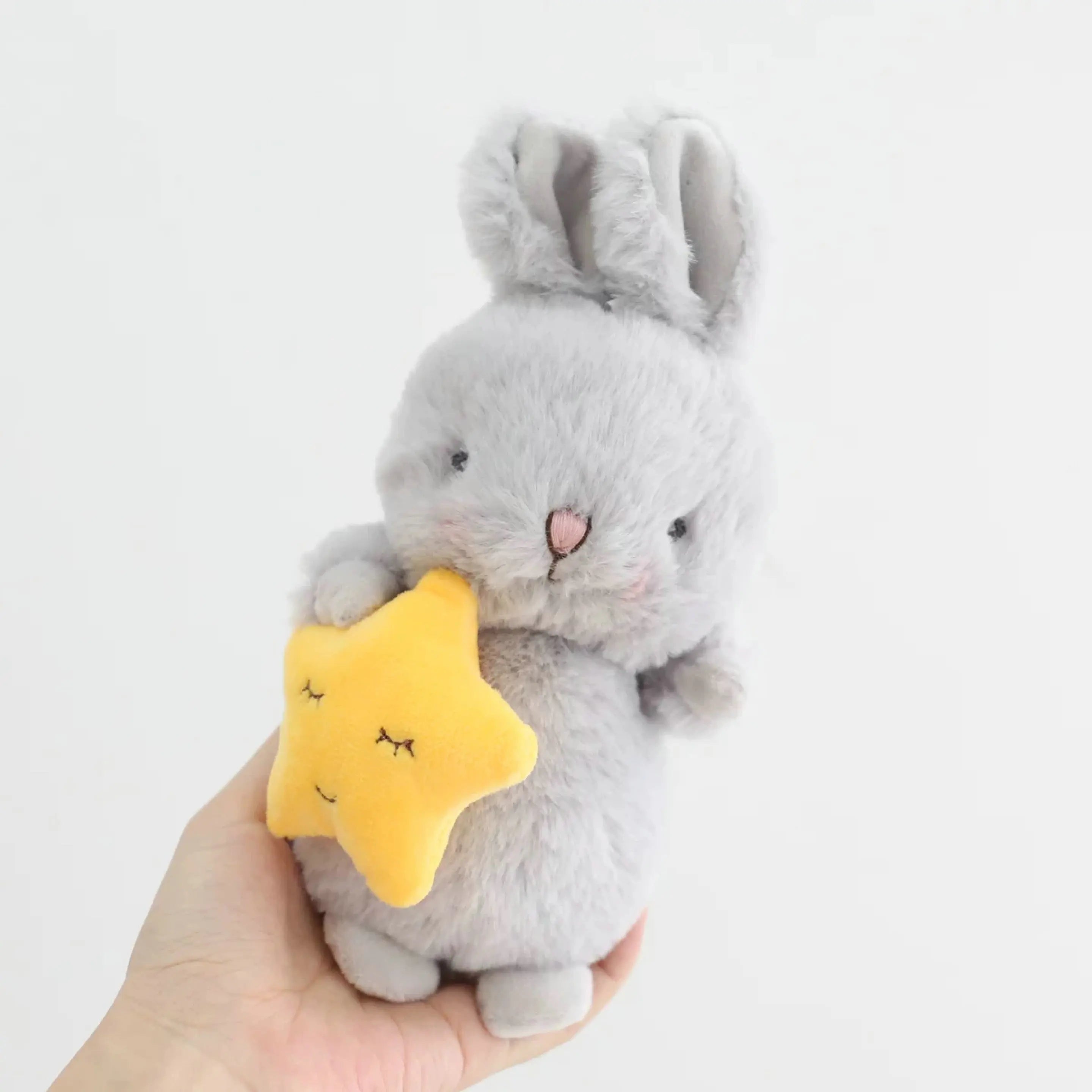 Fluffy Bunny Plush holding Food - Star Carrot Bunny Gift