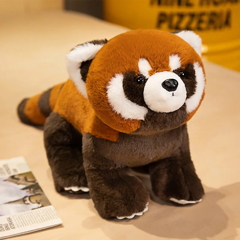 Raccoon Plush - Adorable Sitting & Lying Position